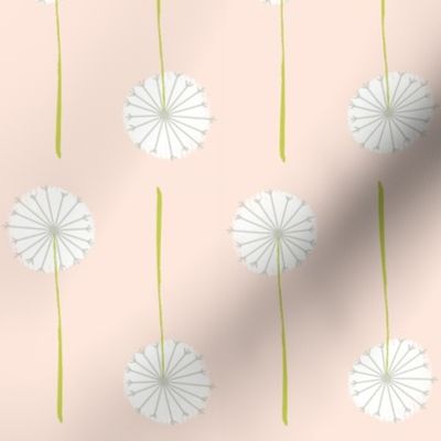 blush dandelion