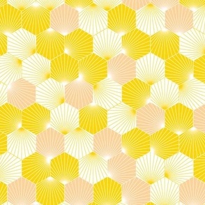 Vibrant Modern Hexagon Pattern