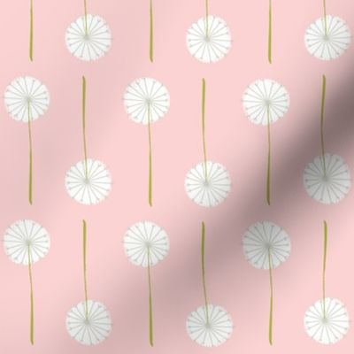 pink_dandelion