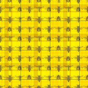 Tartan Bees (and Wasps!)