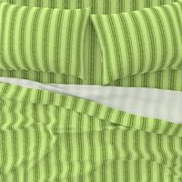 04655636 : equation stripes : Ly