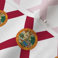 Florida flag - smaller