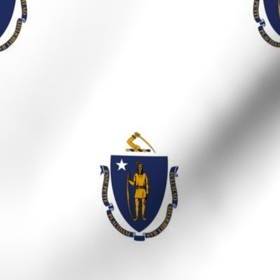 Massachusetts flag