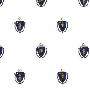 Massachusetts flag