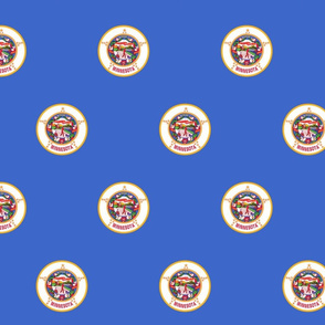 Minnesota flag