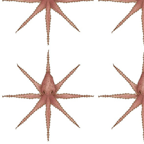 Octopus Symmetry White
