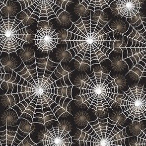 Spiderwebs 2