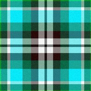 Aqua and Olive Plaid