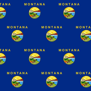 Montana flag