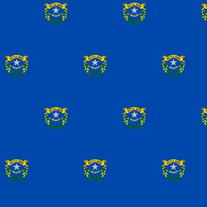 Nevada flag