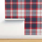 Red, White and Blue Plaid 2