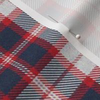 Red, White and Blue Plaid 2