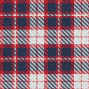 Red, White and Blue Plaid 2