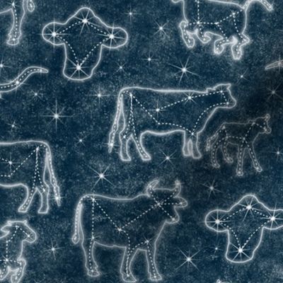 Constellation Cattle
