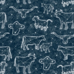 Constellation Cattle Large Scale