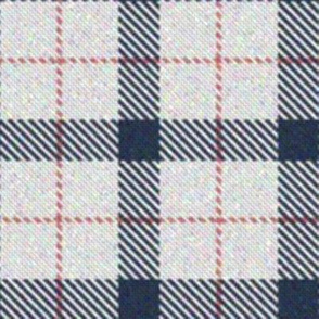 Pink, White and Blue Plaid 1