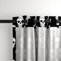 Black and white skulls