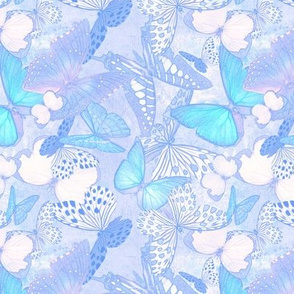 Butterfly Net: Background