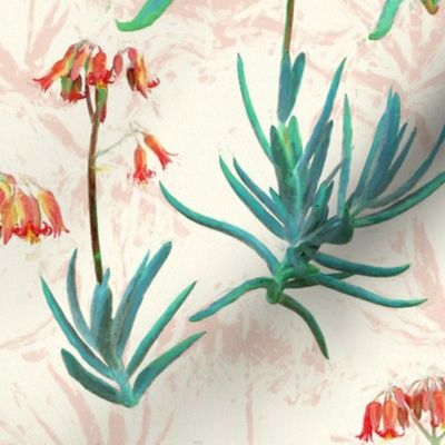 Flowering Succulents in Coral, Cream and Green