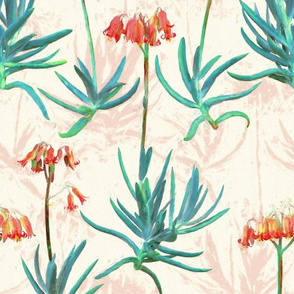 Flowering Succulents in Coral, Cream and Green