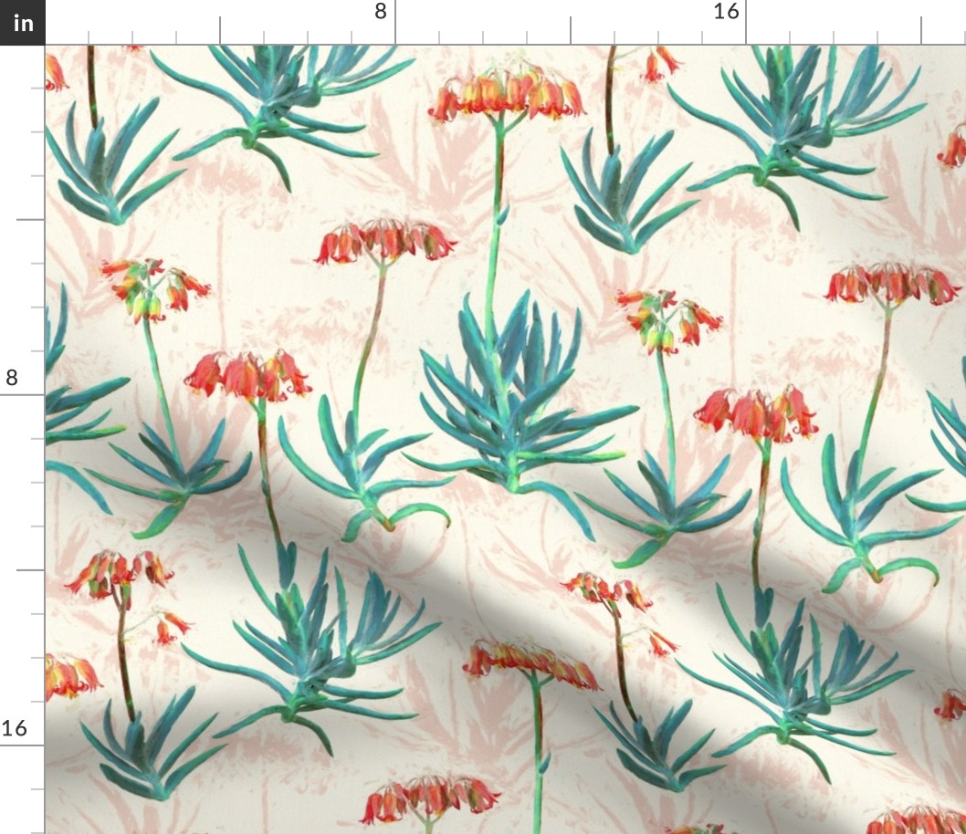 Flowering Succulents in Coral, Cream and Green