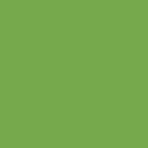 solid chamomile green (76A94B)