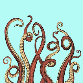 Nautical Squid