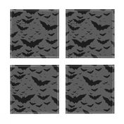 bats (grey background)