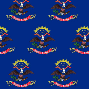 North Dakota flag