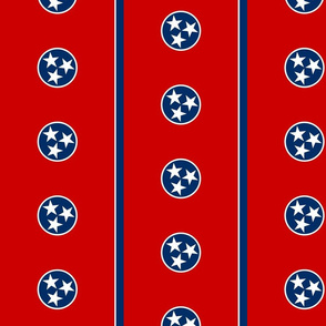 Tennessee flag