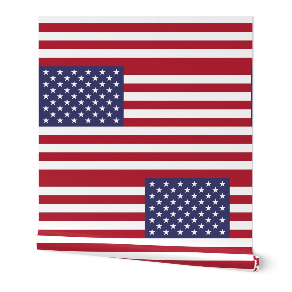 United States of America flag - large