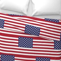 United States of America flag - large