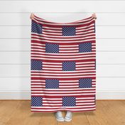 United States of America flag - large