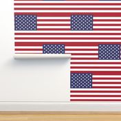 United States of America flag - large