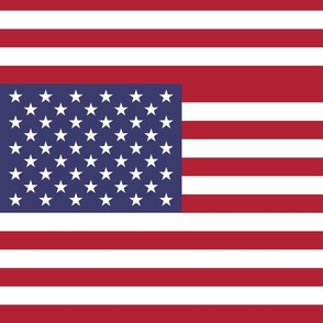 United States of America flag - large