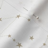 stars in the zodiac constellations