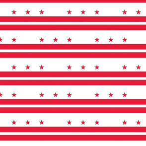 Washington DC flag