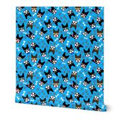 Dog Boston Terrier Lover Funny Retro Dogs