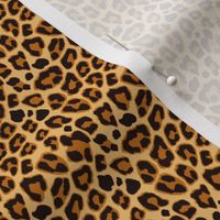 Leopard Pattern For Halloween Costume