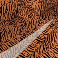 Tiger Halloween Costume Pattern Orange and Black