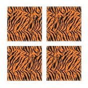 Tiger Halloween Costume Pattern Orange and Black