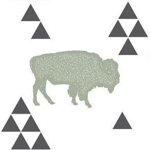 Geometric Buffalo in Sage