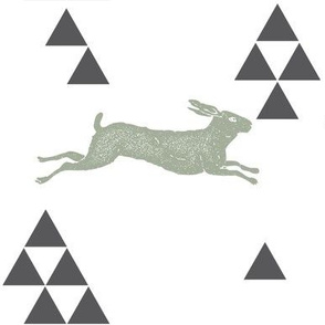 Geometric Hare in Sage