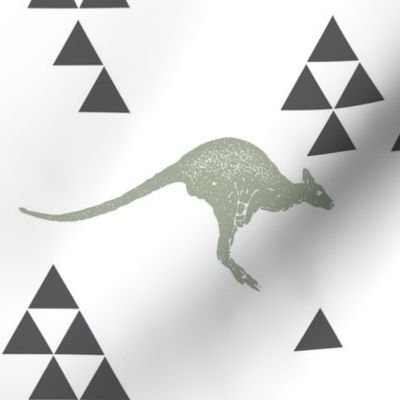 Geometric Kangaroo in Sage