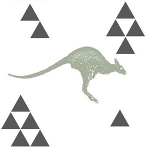 Geometric Kangaroo in Sage