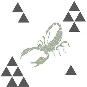Geometric Scorpion in Sage