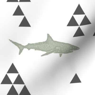 Geometric Shark in Sage