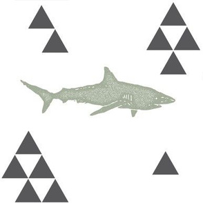 Geometric Shark in Sage