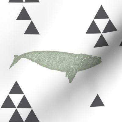 Geometric Whale in Sage