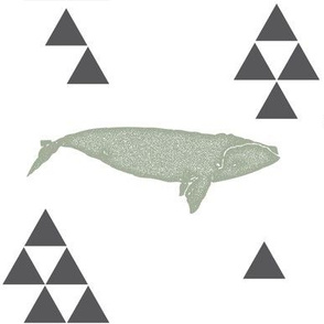 Geometric Whale in Sage